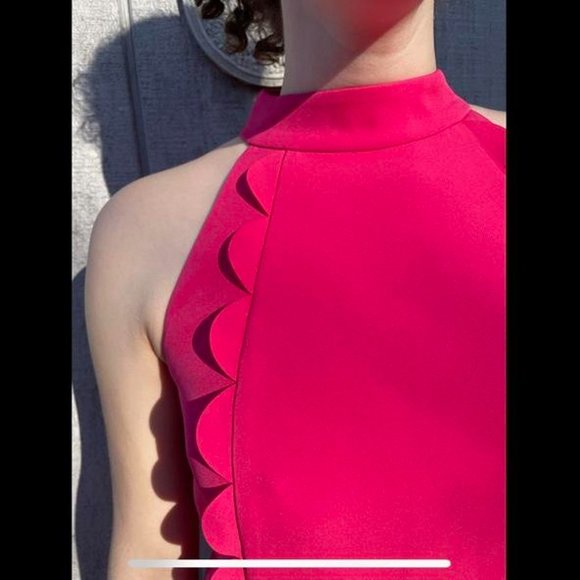 Hot Pink A Line Shift Dress - Picture 3 of 3